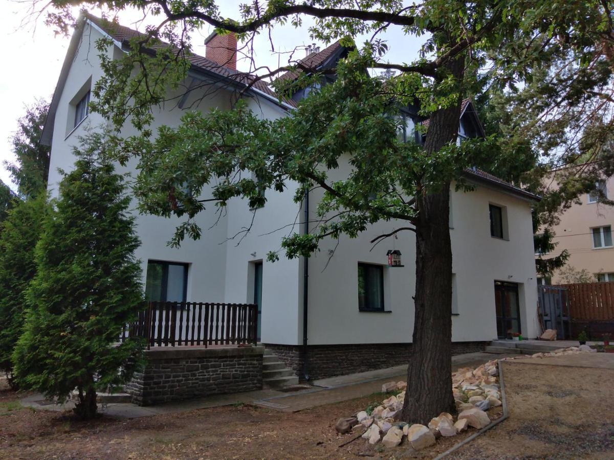 Diana Panzio Bed and Breakfast Matrafured Exteriör bild